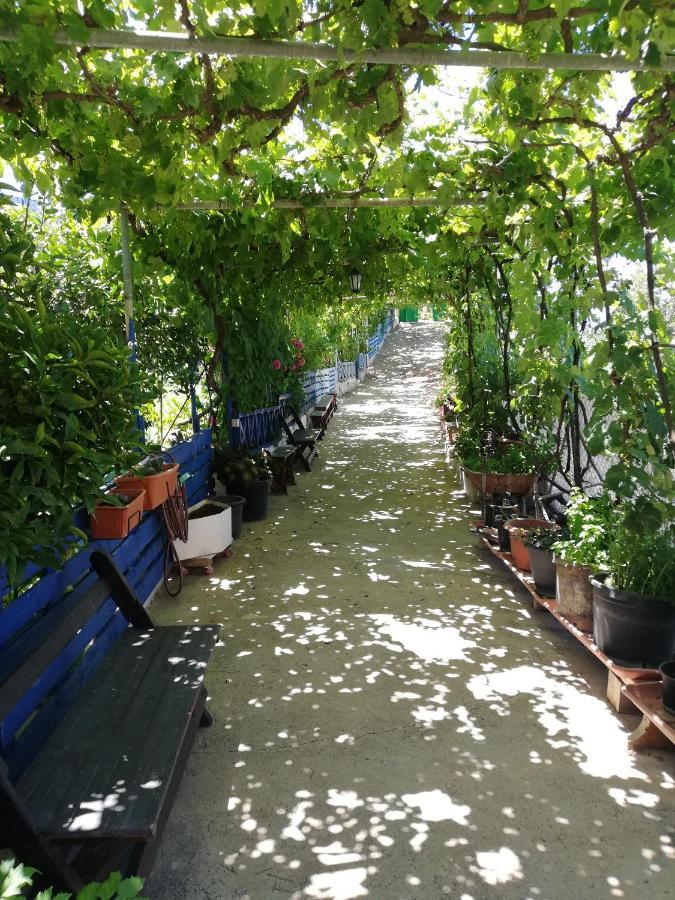 דירות אדחה Casa Mari Carmen Y Jose מראה חיצוני תמונה